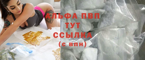 apvp Алзамай