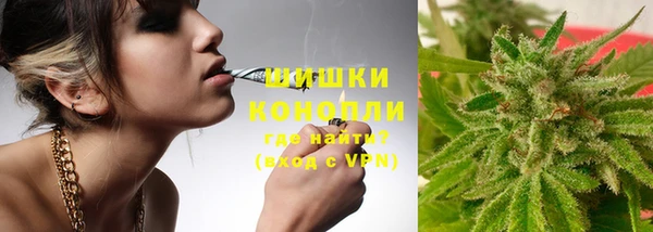 apvp Алзамай