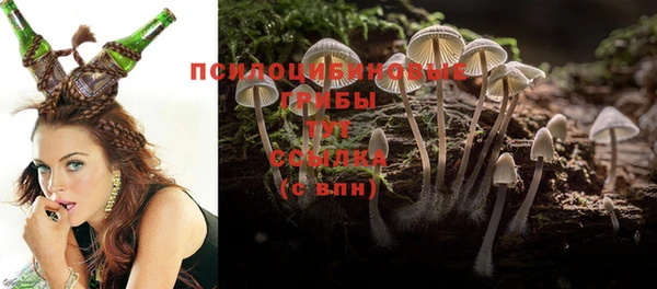 мяу мяу кристалл Алексин