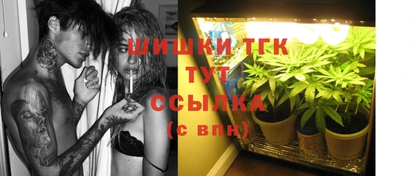 apvp Алзамай