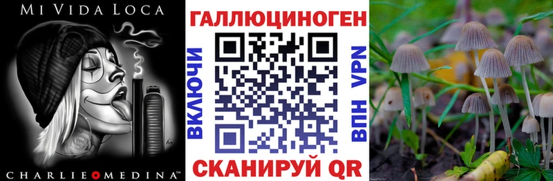 Галлюциногенные грибы прущие грибы Евпатория
